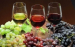 Enoteca online Le Cantine Dei Dogi