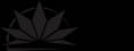 lullshop vaporizzatori