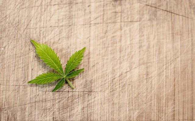 cannabis 2